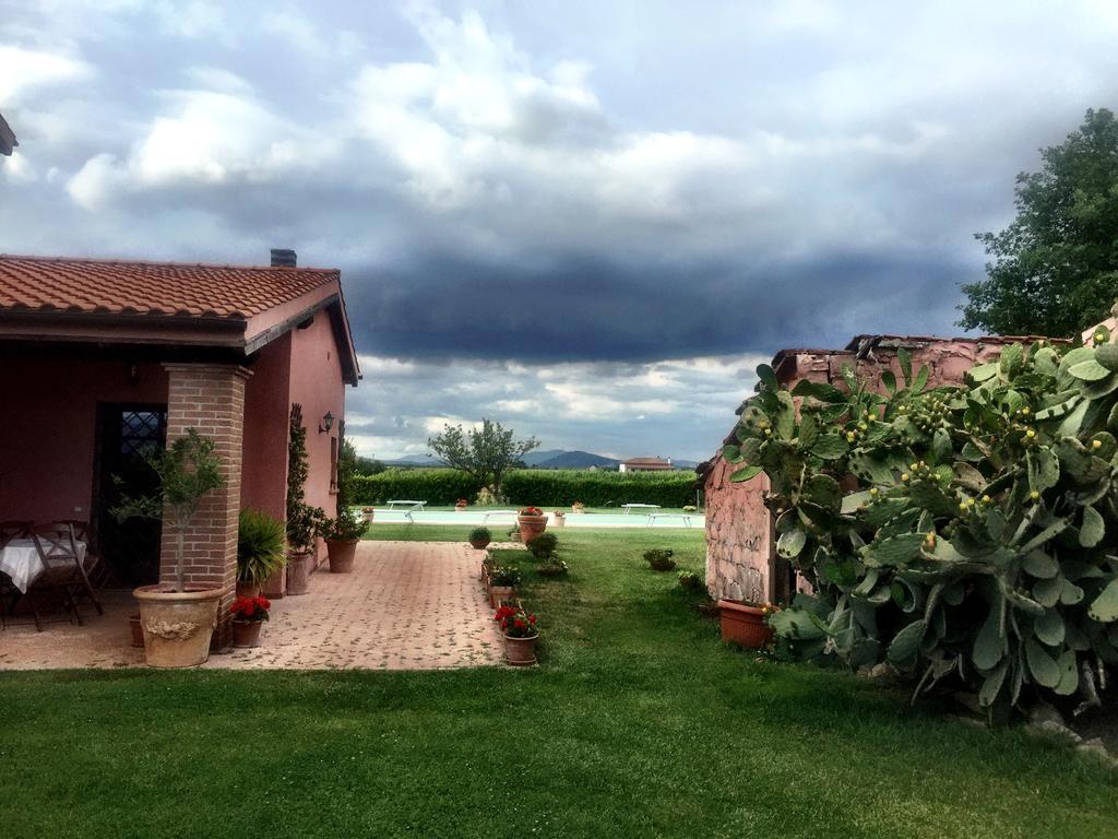 Agriturismo Podere Cirene Rispescia Buitenkant foto