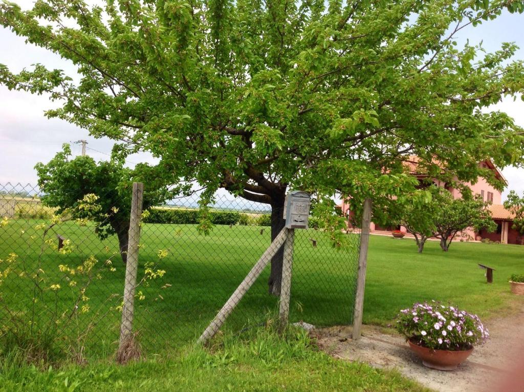 Agriturismo Podere Cirene Rispescia Buitenkant foto
